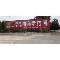 果老首乌公司